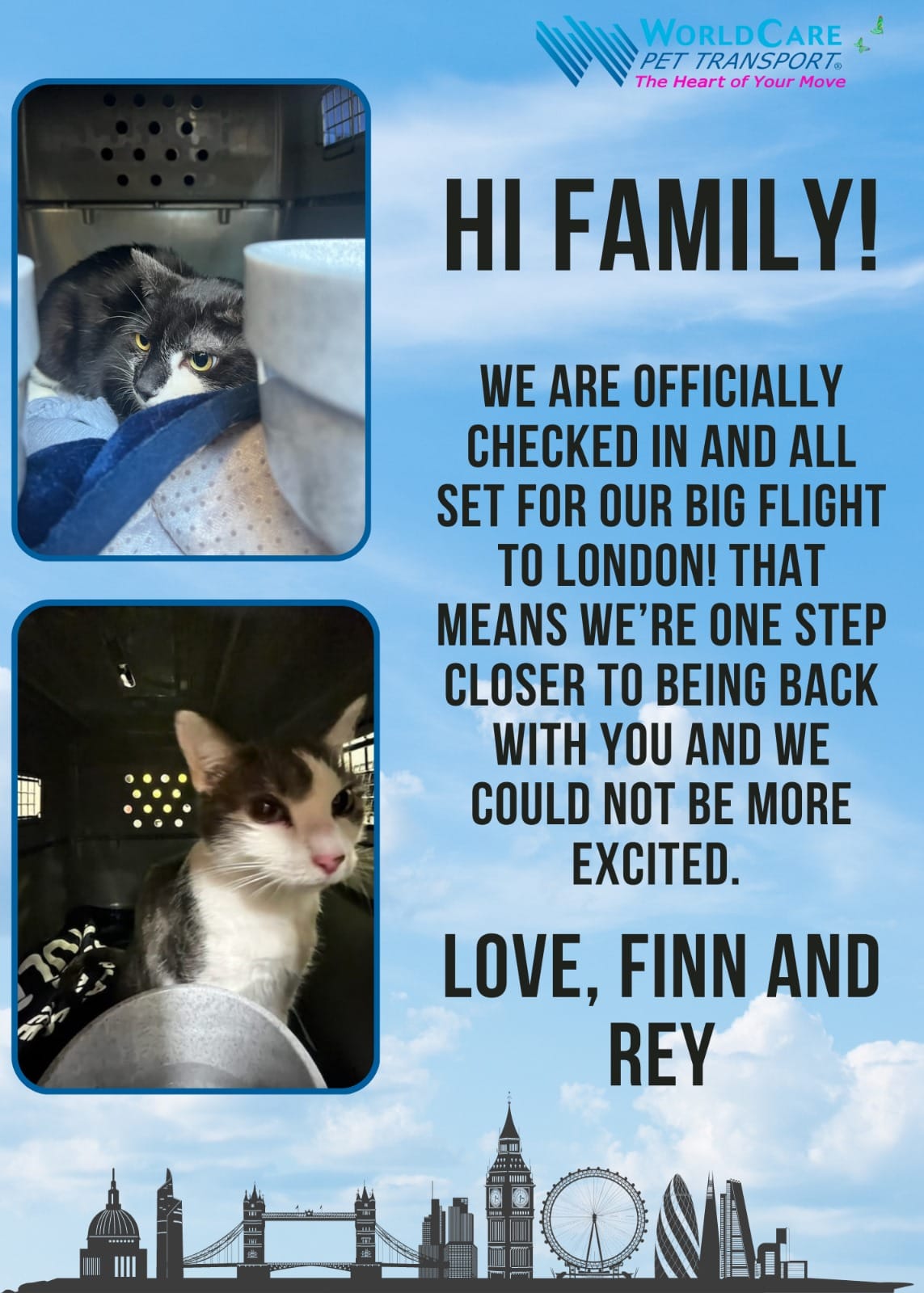 A graphic from WorldCare Pet Transport featuring two chaotic images of our cats in their crates before takeoff and the message "Hi Family! We are officially checked in and all set for our big flight to London! That means we're one step closer to being back with you and we could not be more excited. Love, Finn and Rey"